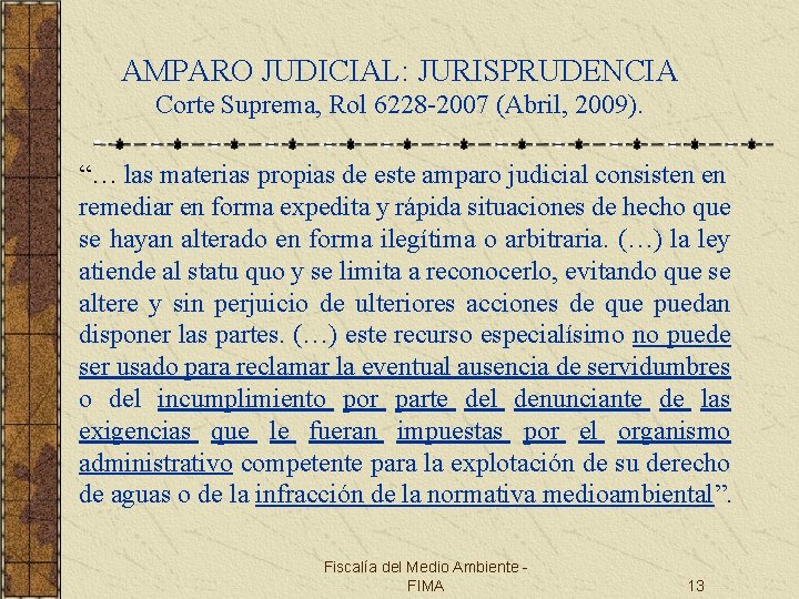 AMPARO JUDICIAL: JURISPRUDENCIA Corte Suprema, Rol 6228 -2007 (Abril, 2009). “… las materias propias