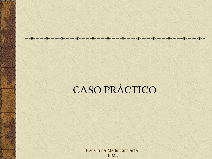 CASO PRÁCTICO Fiscalía del Medio Ambiente FIMA 24 