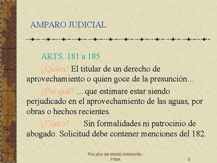 AMPARO JUDICIAL ARTS. 181 a 185 ¿Quién? El titular de un derecho de aprovechamiento