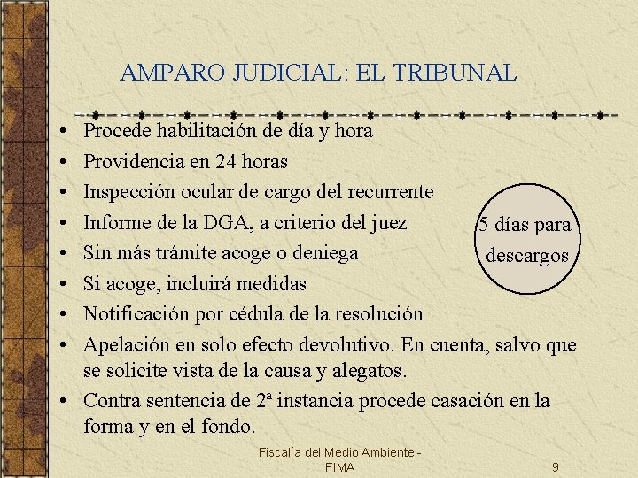 AMPARO JUDICIAL: EL TRIBUNAL • • Procede habilitación de día y hora Providencia en