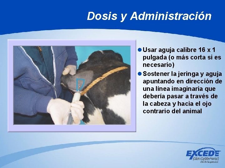 Dosis y Administración l Usar aguja calibre 16 x 1 pulgada (o más corta Dosis y Administración l Usar aguja calibre 16 x 1 pulgada (o más corta