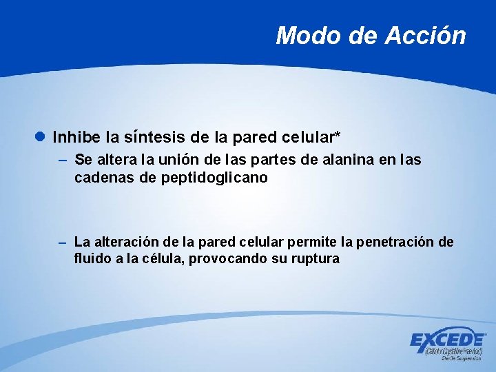 Modo de Acción l Inhibe la síntesis de la pared celular* – Se altera Modo de Acción l Inhibe la síntesis de la pared celular* – Se altera