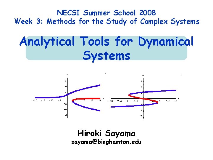 NECSI Summer School 2008 Week 3: Methods for the Study of Complex Systems Analytical