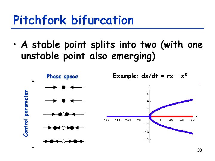 Pitchfork bifurcation • A stable point splits into two (with one unstable point also