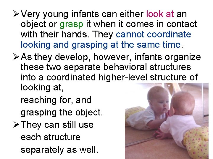 Ø Very young infants can either look at an object or grasp it when