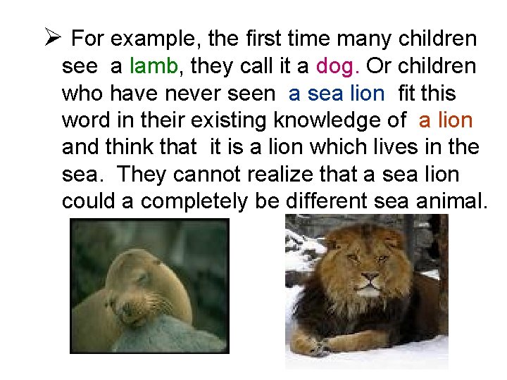 Ø For example, the first time many children see a lamb, they call it