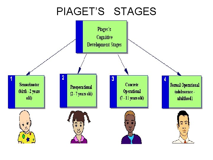 PIAGET’S STAGES 