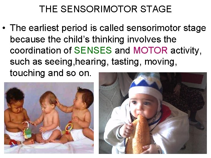 THE SENSORIMOTOR STAGE • The earliest period is called sensorimotor stage because the child’s