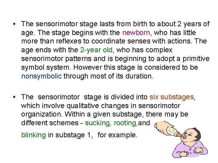  • The sensorimotor stage lasts from birth to about 2 years of age.