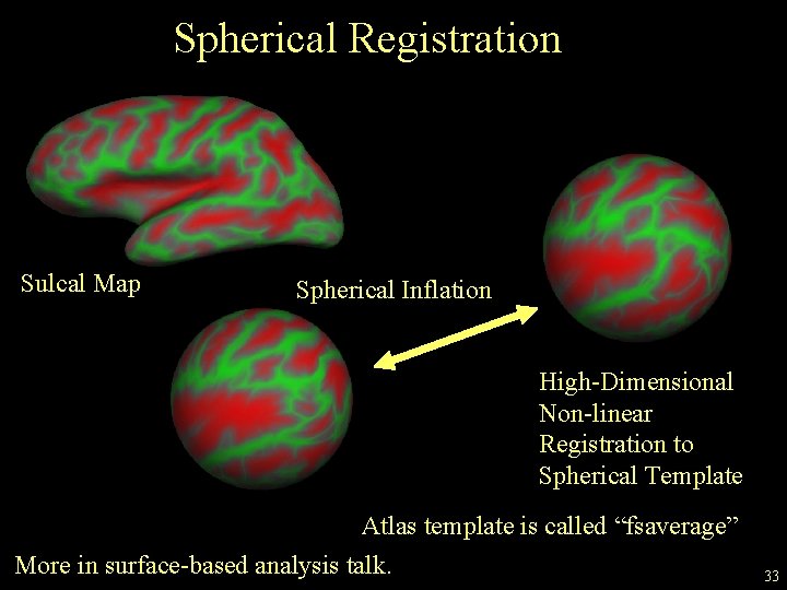 Spherical Registration Sulcal Map Spherical Inflation High-Dimensional Non-linear Registration to Spherical Template Atlas template