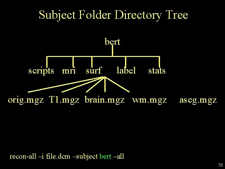 Subject Folder Directory Tree bert scripts mri surf label stats orig. mgz T 1.