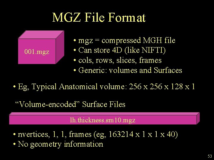 MGZ File Format 001. mgz • mgz = compressed MGH file • Can store