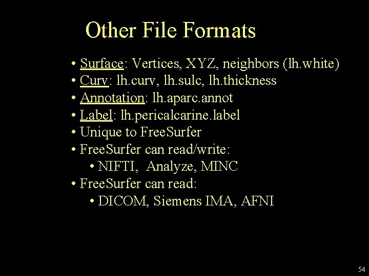 Other File Formats • Surface: Vertices, XYZ, neighbors (lh. white) • Curv: lh. curv,