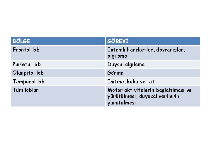 BÖLGE GÖREVİ Frontal lob İstemli hareketler, davranışlar, algılama Parietal lob Duysal algılama Oksipital lob