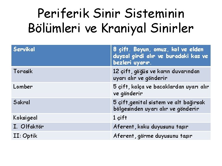 Periferik Sinir Sisteminin Bölümleri ve Kraniyal Sinirler Servikal 8 çift. Boyun, omuz, kol ve Periferik Sinir Sisteminin Bölümleri ve Kraniyal Sinirler Servikal 8 çift. Boyun, omuz, kol ve
