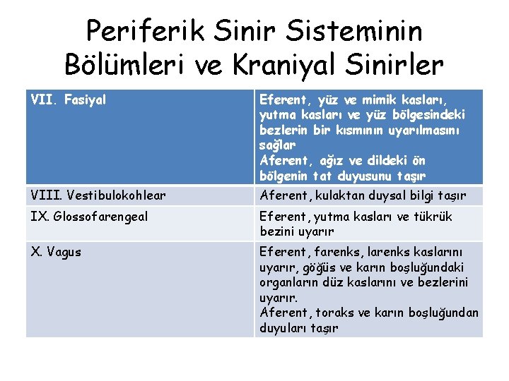 Periferik Sinir Sisteminin Bölümleri ve Kraniyal Sinirler VII. Fasiyal Eferent, yüz ve mimik kasları,