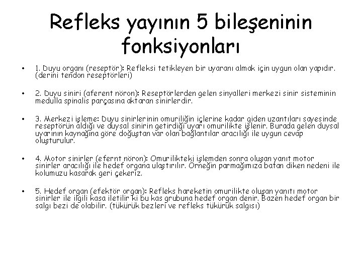 Refleks yayının 5 bileşeninin fonksiyonları • 1. Duyu organı (reseptör): Refleksi tetikleyen bir uyaranı