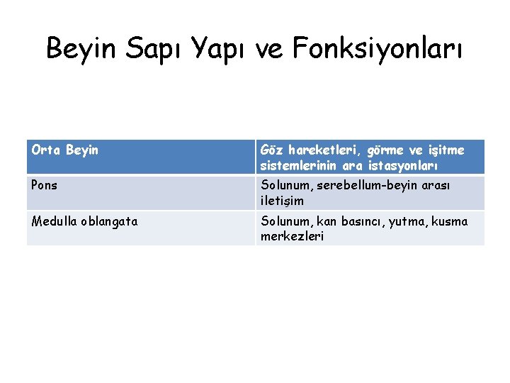 Beyin Sapı Yapı ve Fonksiyonları Orta Beyin Göz hareketleri, görme ve işitme sistemlerinin ara