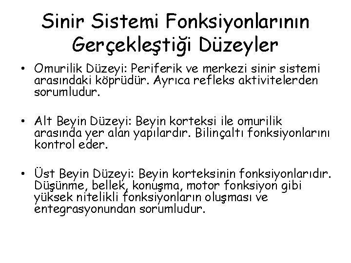 Sinir Sistemi Fonksiyonlarının Gerçekleştiği Düzeyler • Omurilik Düzeyi: Periferik ve merkezi sinir sistemi arasındaki