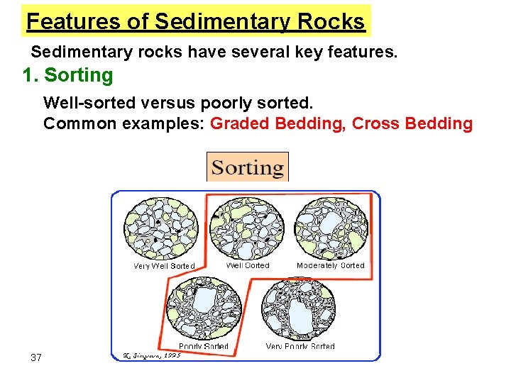 Features of Sedimentary Rocks Sedimentary rocks have several key features. 1. Sorting Well-sorted versus Features of Sedimentary Rocks Sedimentary rocks have several key features. 1. Sorting Well-sorted versus