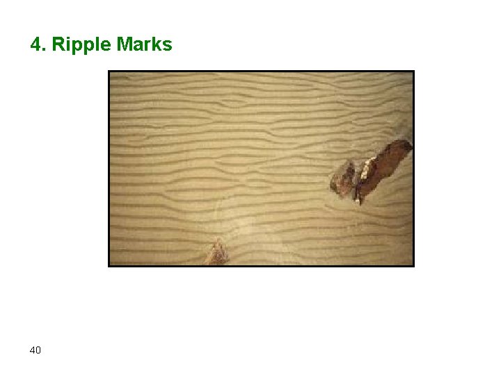 4. Ripple Marks 40 4. Ripple Marks 40