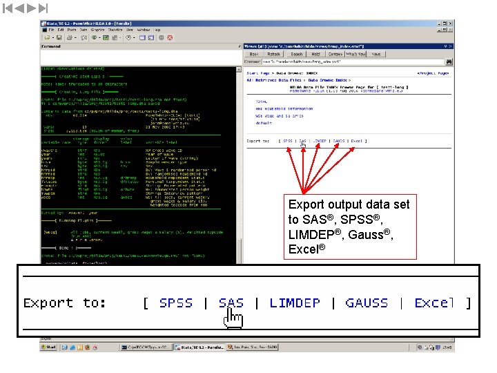 Export output data set to SAS®, SPSS®, LIMDEP®, Gauss®, Excel® 