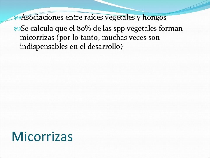  Asociaciones entre raíces vegetales y hongos Se calcula que el 80% de las