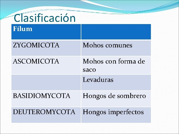 Clasificación Fílum ZYGOMICOTA Mohos comunes ASCOMICOTA Mohos con forma de saco Levaduras BASIDIOMYCOTA Hongos