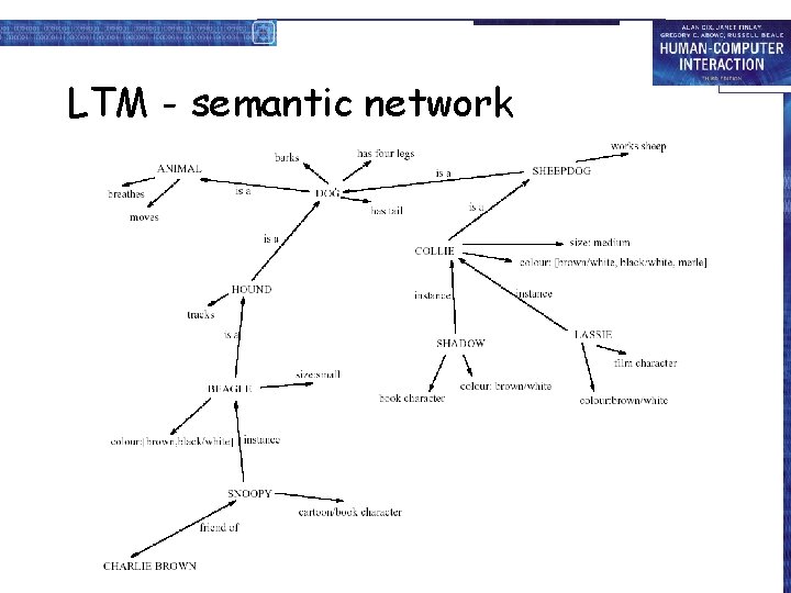 LTM - semantic network 