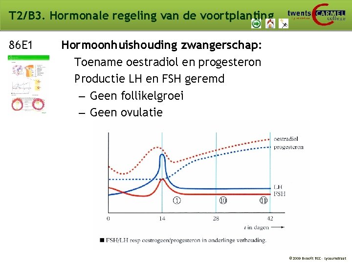 T 2/B 3. Hormonale regeling van de voortplanting 86 E 1 Hormoonhuishouding zwangerschap: Toename T 2/B 3. Hormonale regeling van de voortplanting 86 E 1 Hormoonhuishouding zwangerschap: Toename