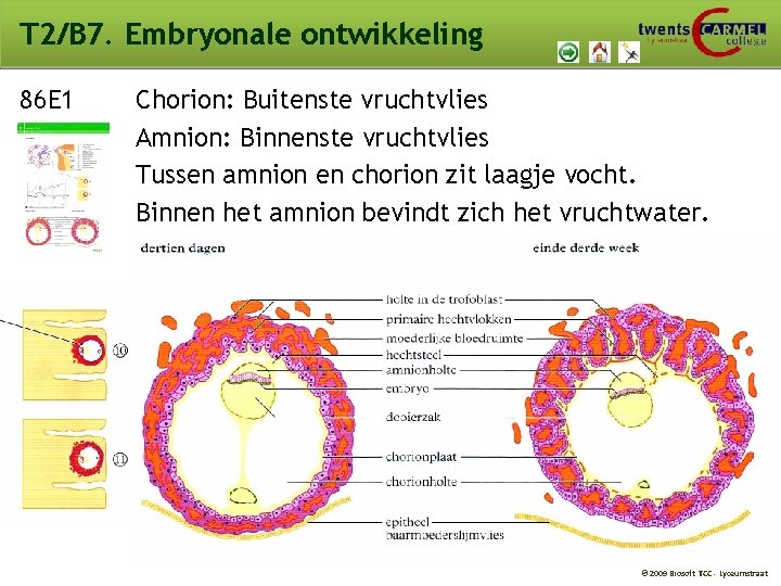 T 2/B 7. Embryonale ontwikkeling 86 E 1 Chorion: Buitenste vruchtvlies Amnion: Binnenste vruchtvlies T 2/B 7. Embryonale ontwikkeling 86 E 1 Chorion: Buitenste vruchtvlies Amnion: Binnenste vruchtvlies