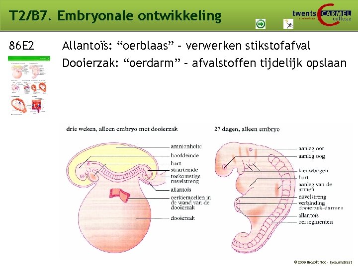 T 2/B 7. Embryonale ontwikkeling 86 E 2 Allantoïs: “oerblaas” – verwerken stikstofafval Dooierzak: T 2/B 7. Embryonale ontwikkeling 86 E 2 Allantoïs: “oerblaas” – verwerken stikstofafval Dooierzak: