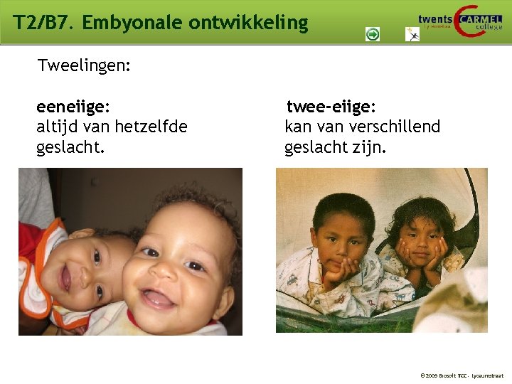 T 2/B 7. Embyonale ontwikkeling Tweelingen: eeneiige: altijd van hetzelfde geslacht. twee-eiige: kan verschillend T 2/B 7. Embyonale ontwikkeling Tweelingen: eeneiige: altijd van hetzelfde geslacht. twee-eiige: kan verschillend