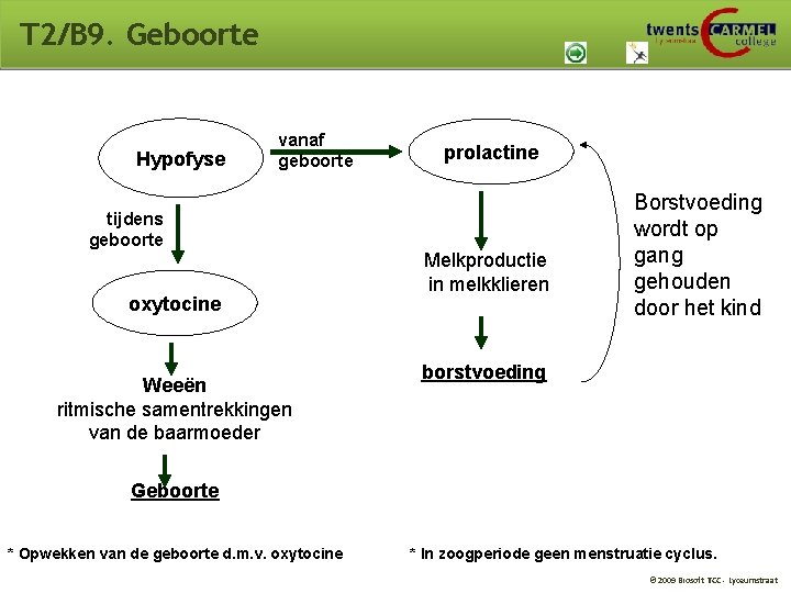 T 2/B 9. Geboorte Hypofyse vanaf geboorte tijdens geboorte oxytocine Weeën ritmische samentrekkingen van T 2/B 9. Geboorte Hypofyse vanaf geboorte tijdens geboorte oxytocine Weeën ritmische samentrekkingen van