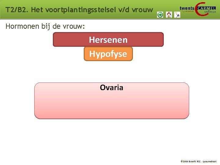T 2/B 2. Het voortplantingsstelsel v/d vrouw Hormonen bij de vrouw: Hersenen Hypofyse Ovaria T 2/B 2. Het voortplantingsstelsel v/d vrouw Hormonen bij de vrouw: Hersenen Hypofyse Ovaria