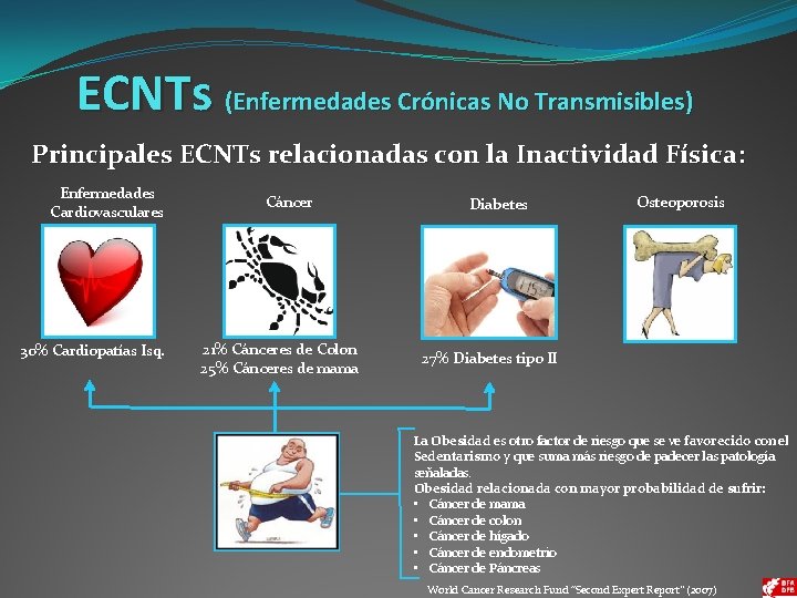 ECNTs (Enfermedades Crónicas No Transmisibles) Principales ECNTs relacionadas con la Inactividad Física: Enfermedades Cardiovasculares