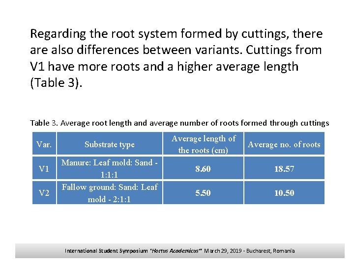 Regarding the root system formed by cuttings, there also differences between variants. Cuttings from