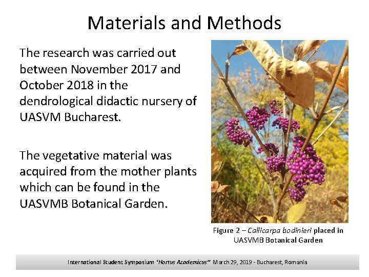 Materials and Methods The research was carried out between November 2017 and October 2018