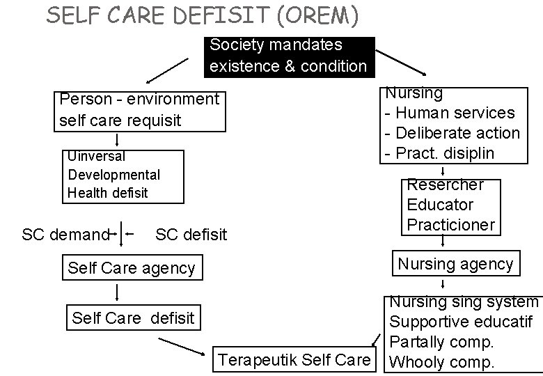 SELF CARE DEFISIT (OREM) Society mandates existence & condition Person - environment self care