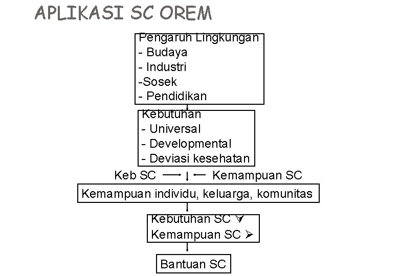 APLIKASI SC OREM Pengaruh Lingkungan - Budaya - Industri -Sosek - Pendidikan Kebutuhan -