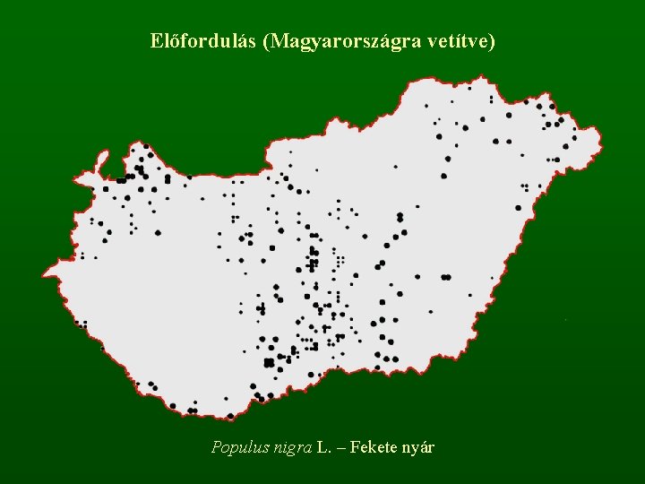 Előfordulás (Magyarországra vetítve) Populus nigra L. – Fekete nyár 