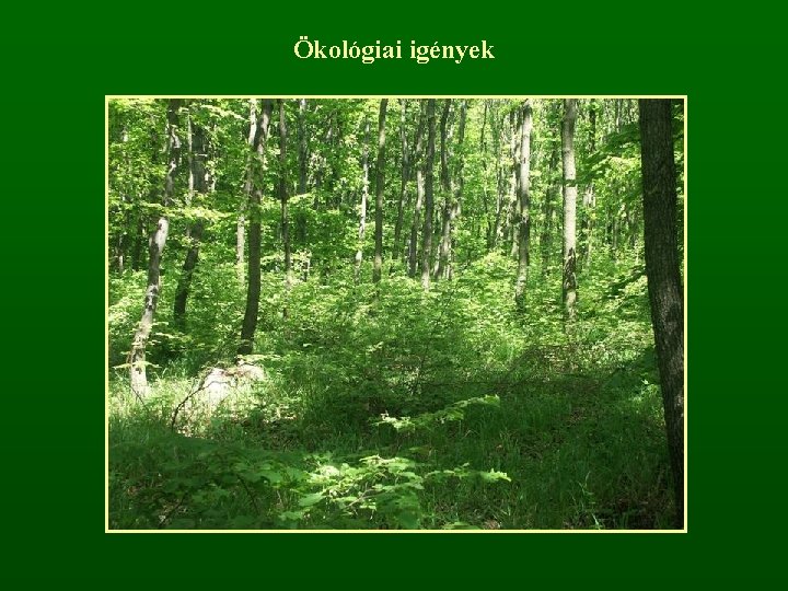 Ökológiai igények 