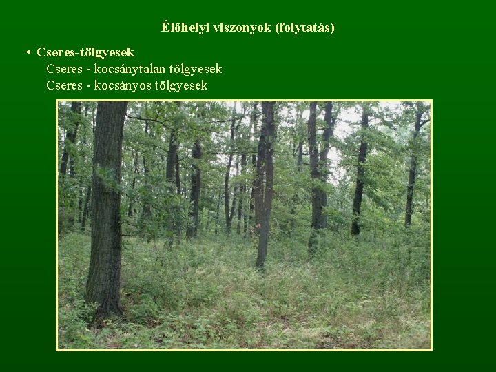 Élőhelyi viszonyok (folytatás) • Cseres-tölgyesek Cseres - kocsánytalan tölgyesek Cseres - kocsányos tölgyesek 