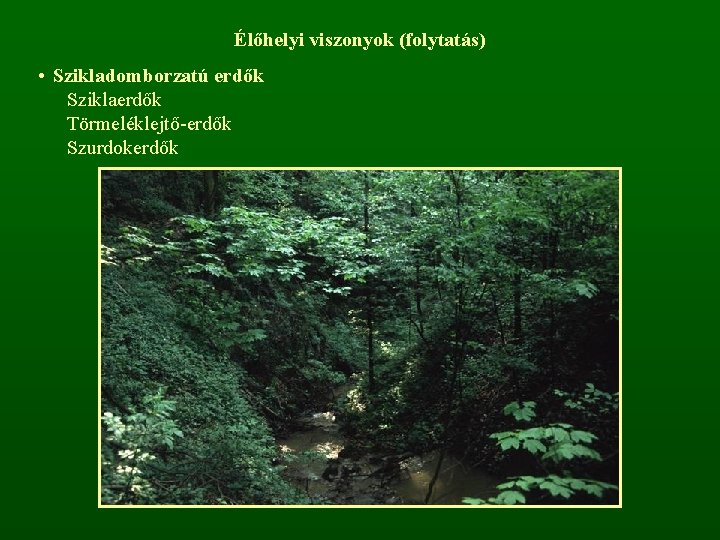 Élőhelyi viszonyok (folytatás) • Szikladomborzatú erdők Sziklaerdők Törmeléklejtő-erdők Szurdokerdők 