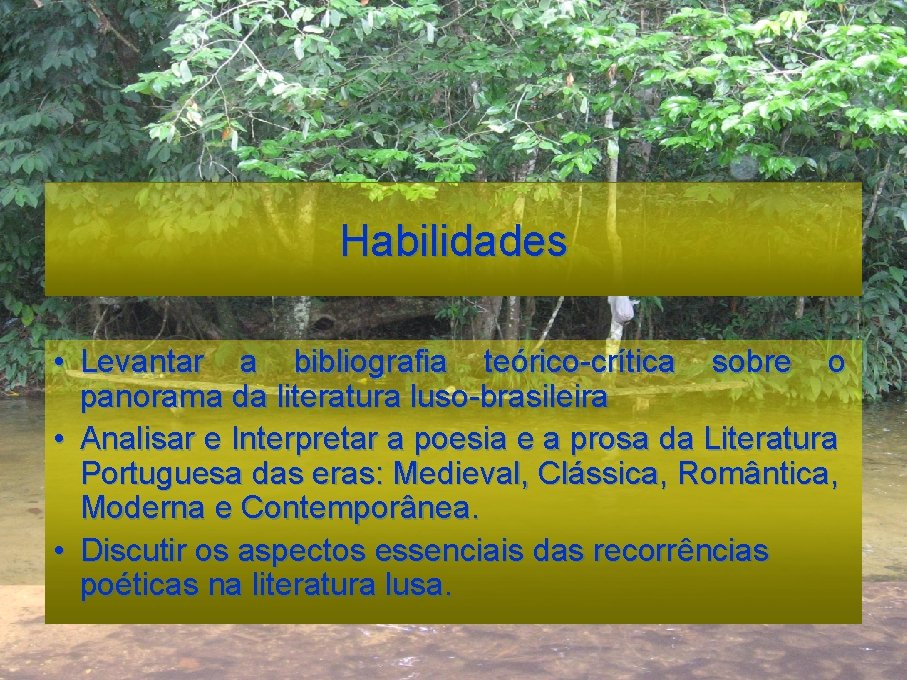 Habilidades • Levantar a bibliografia teórico-crítica sobre o panorama da literatura luso-brasileira • Analisar