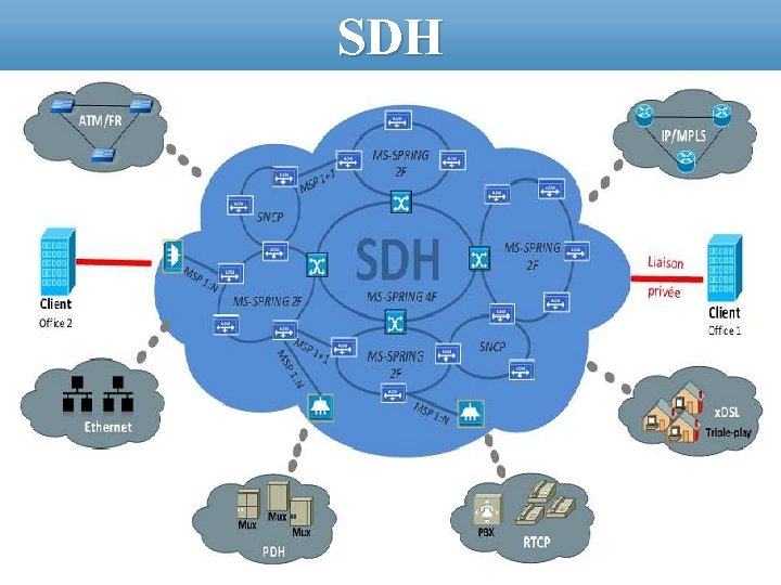 SDH 