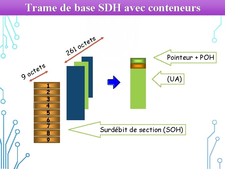 Trame de base SDH avec conteneurs s t e t c o 1 26