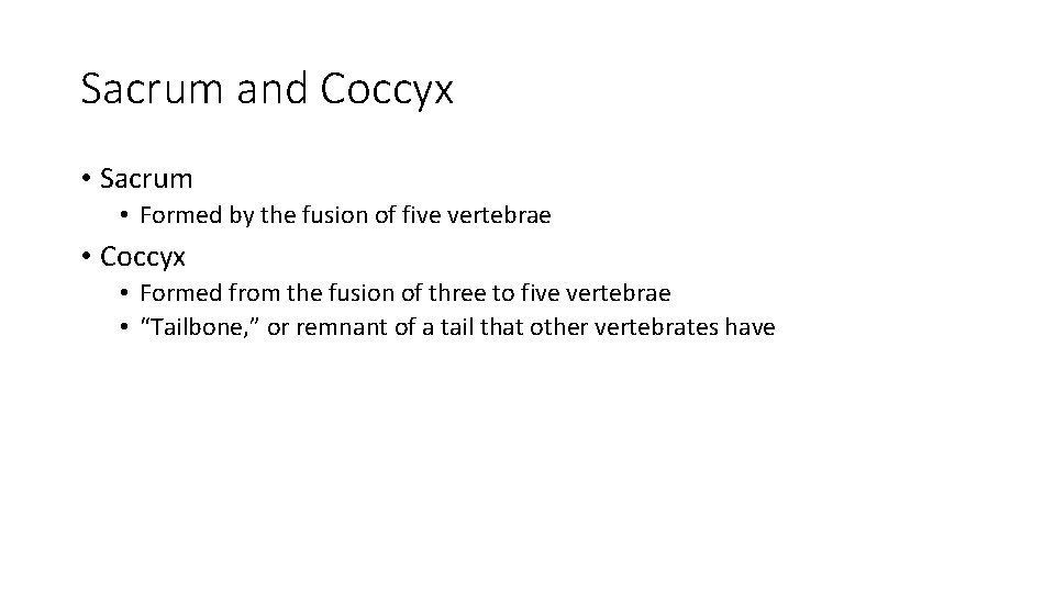 Sacrum and Coccyx • Sacrum • Formed by the fusion of five vertebrae •