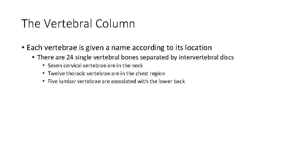 The Vertebral Column • Each vertebrae is given a name according to its location