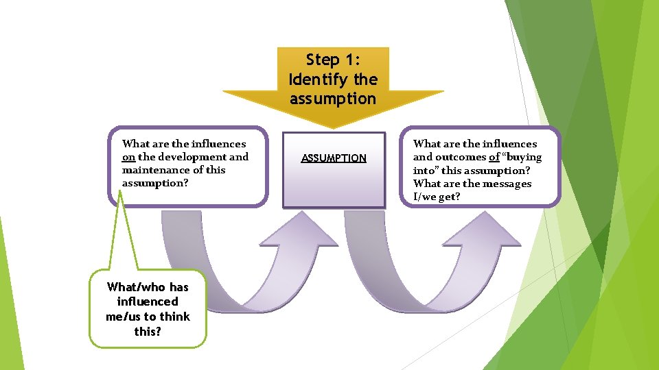 Step 1: Identify the assumption What are the influences on the development and maintenance